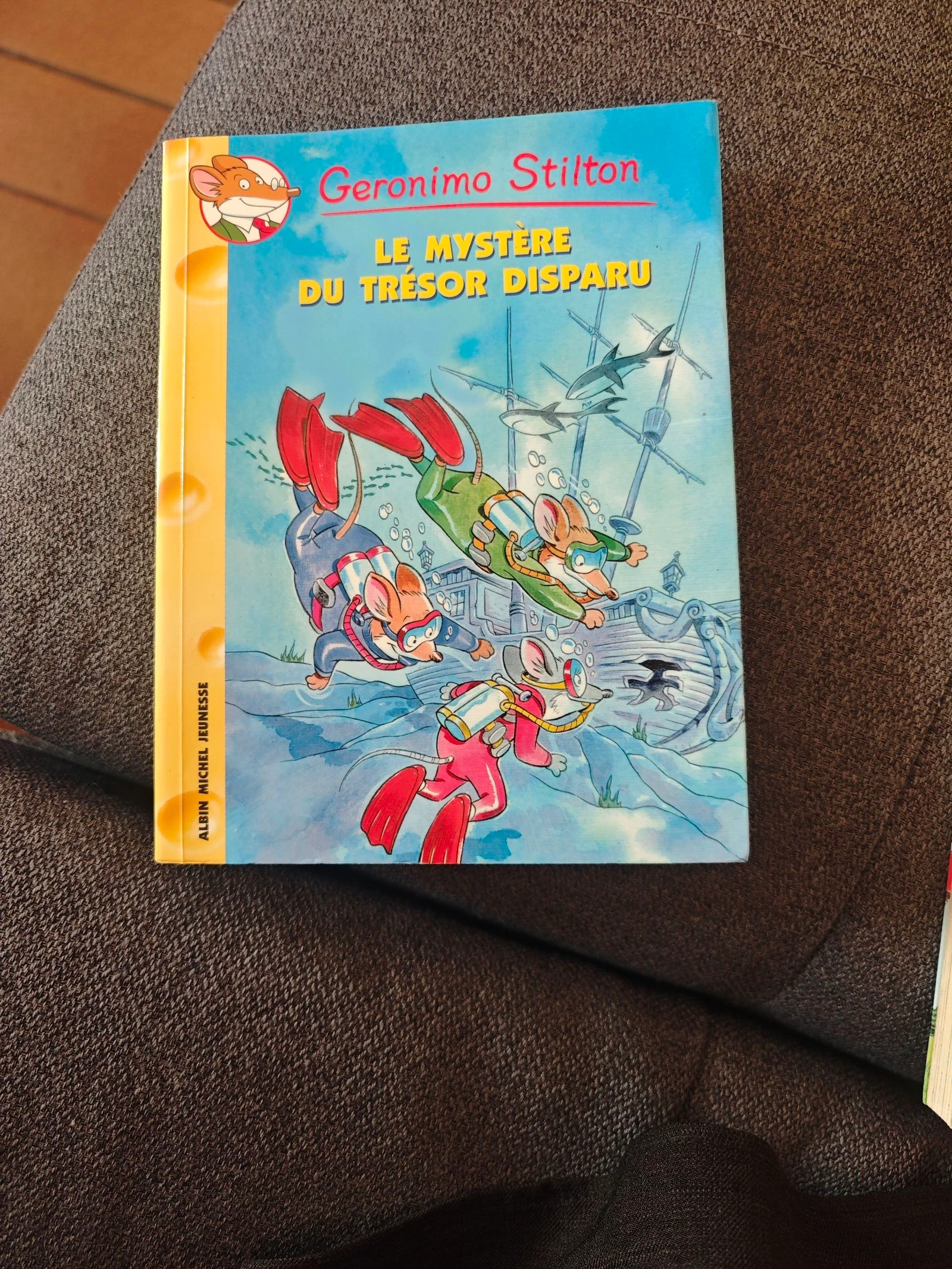Le mystère du trésor disparu Tome 19 (Geronimo Stilton)